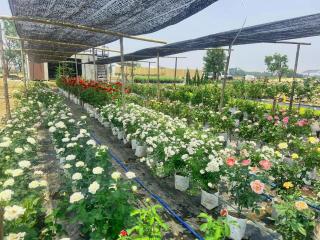 Fulfield Cafe&Resort - 2