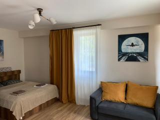 AVIATOR Apartments in Bakuriani - Bakuriani - 7