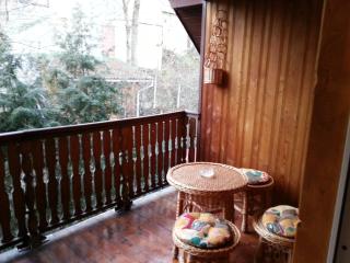 Lelia Residence Apartments - Braşov - 5