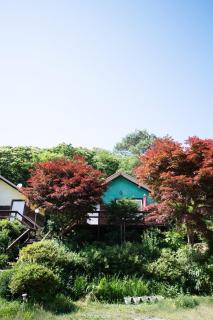 Pocheon Haneulbat Pension - Pocheon - 5