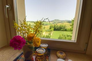 B&B Campodisole - Osimo - 8