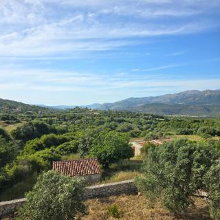 Lakithra Apartments - Cefalonia - 1