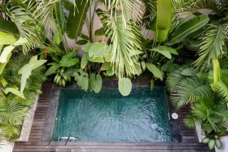 Sunny Cuddles Canggu 2 Bedroom - 5