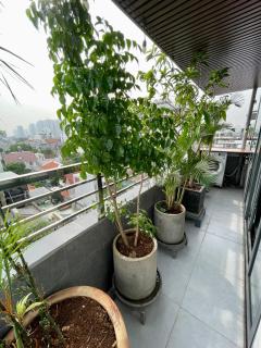 Uncle Anh Serviced Apartments - Ho Chi Minh - 4
