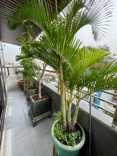 Uncle Anh Serviced Apartments - Ho Chi Minh - 3
