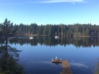 Lakeside Living Suite! Mt Rainier, Nwtrek, Jblm - Eatonville - 7