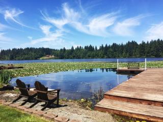Lakeside Living Suite! Mt Rainier, Nwtrek, Jblm - Eatonville - 0