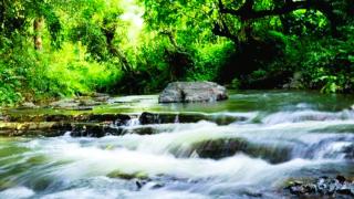 Rustic Retreat - 5