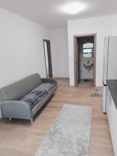 Apartament Ultra Modern Sovata - Sovata - 8