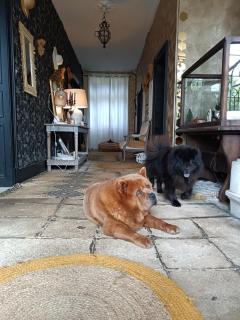 Chez Célia Bed&Breakfast - Champdeniers-Saint-Denis - 7