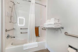 Comfort Suites Keeneland - Lexington - 3