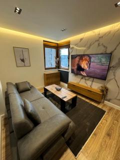 Town View Apartment - 7