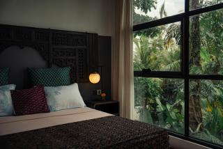 Dharma Oasis - 1