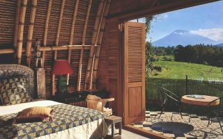 Dharma Oasis - 5