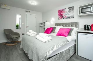 Cosy Flamingo Studio in Sydenham - Forest Hill - 5
