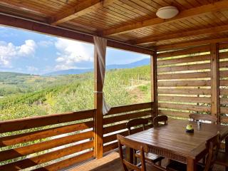Saxida Wine Estate - Zalošče - 7