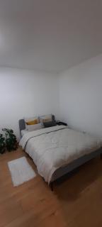 Studio Intim si Cochet - Sibiu - 8