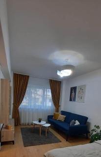 Studio Intim si Cochet - Sibiu - 6