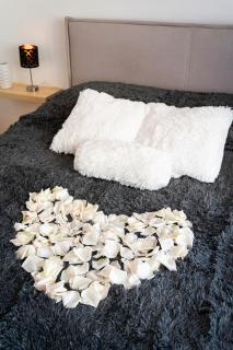 Luxury Kings Residence - Praga - 1