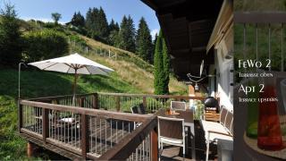Ferienhaus Auschmiede - Hollersbach im Pinzgau - 9