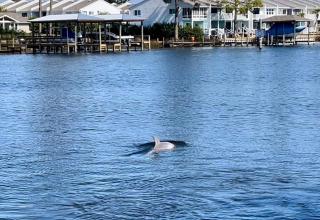 Dolphin Days Lagoon Retreat - Panama City Beach - 5