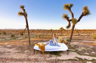 Crazy Heart Ranch By The Cohost Company - Yucca Valley - 8