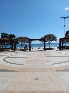 #2 Twin# 2 minutes run to the sea, close to the sea, 5 minutes to Club D Oasis swimming pool, renewal fresh apartment - Busan - 3