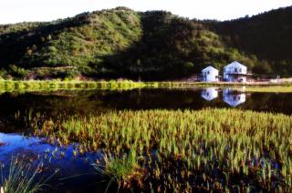 The Barn Silo at Goose Lake Lane - 3