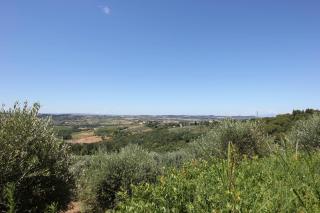 Villa Poggio La Leona - 4