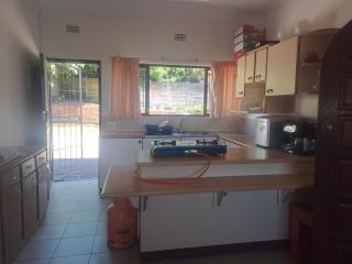 Kingfisher - Pumula - 2