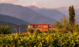 Burki Castle & Cellar - 5