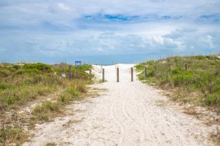 Tropical Escape - St. Augustine - 2