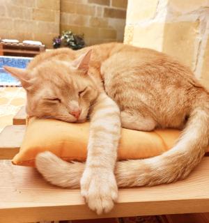 Laremi Gozo B&B - Nadur - 7