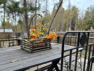 Artistic Haven By The Beach - Wiarton - 5