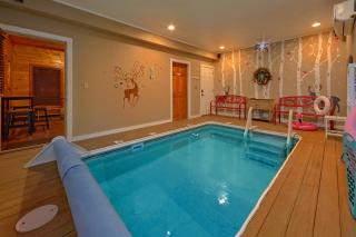 Reindeer Bay - Pigeon Forge - 4