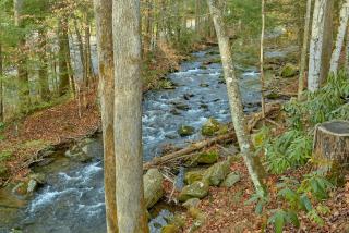 Talking Waters - Gatlinburg - 8
