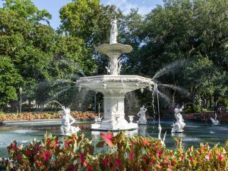 Park View - Savannah - 2