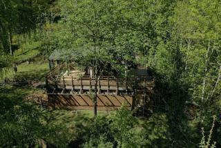 Lodge en pleine foret domaniale - 3
