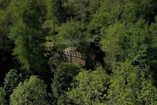 Lodge en pleine foret domaniale - 1