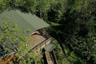 Lodge en pleine foret domaniale - 4