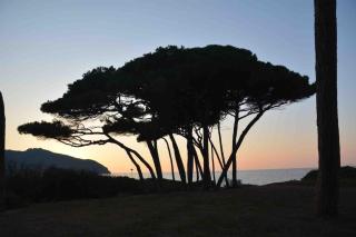 Appartamento per vacanze o weekend in Toscana - Venturina Terme - 0