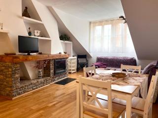 Apartamento Céntrico con Parking - L'Amfitriona - Rialp - 0