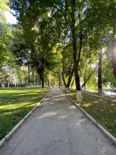 Green Oasis in City Center - Tashkent - 3