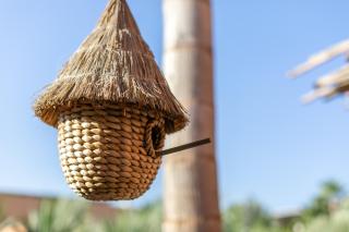 Villa Ecolodge DAR LOUMA - 1