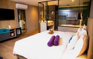 Palmetto Hotel Business San Borja - Lima - 8