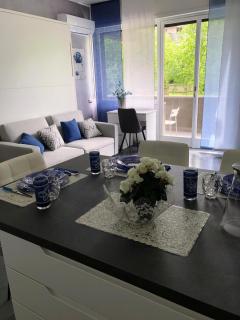 "Sweet Caroline" intero monolocale a COMO-mq 41- ideale per due persone , con garage privato - Como - 0