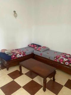 F2 pour les vacances à Alger - Surcouf - 5