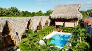 Palomino Sunrise - 2