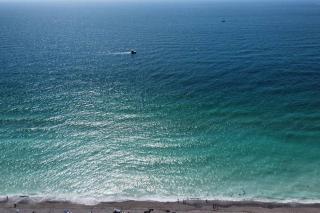 2 BR, 5 min Manasota Beach ,Venice - Venice - 1