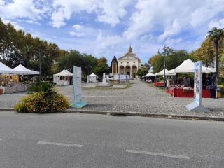 Appartamento Vada - Vada - 2